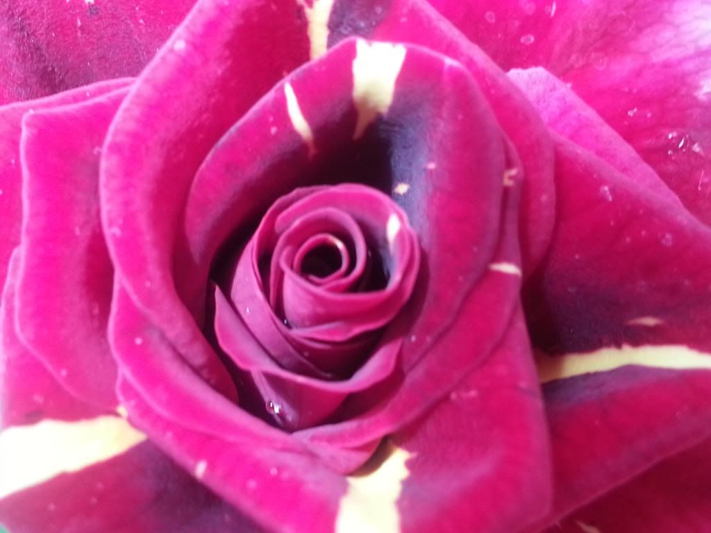 photo 096_zpseeda9b13.jpg